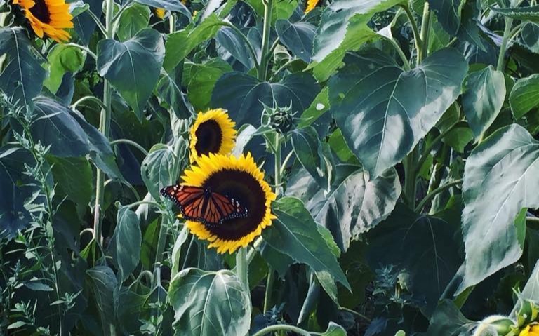 aAwhirjievsesrhn,akjye